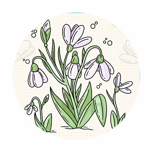 Цветной вариант раскраски подснежники красивые