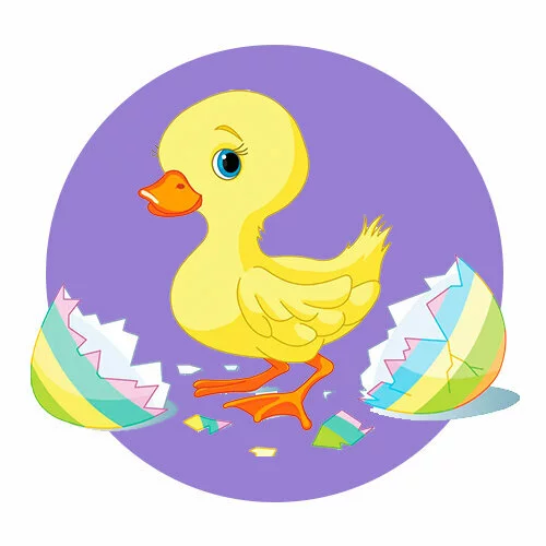 Цветной вариант раскраски вылупился утенок