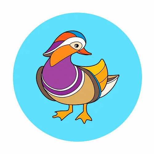 Цветной пример раскраски утка мандаринка