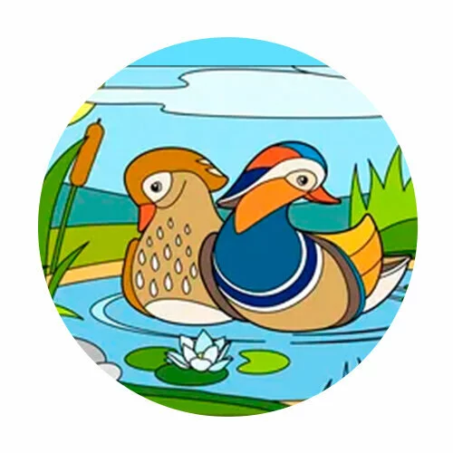 Цветной вариант раскраски утка мандаринка и подружка