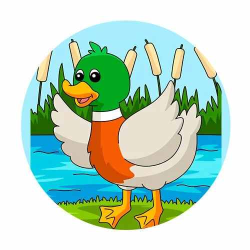 Цветной вариант раскраски утка пошла на взлет (селезень)