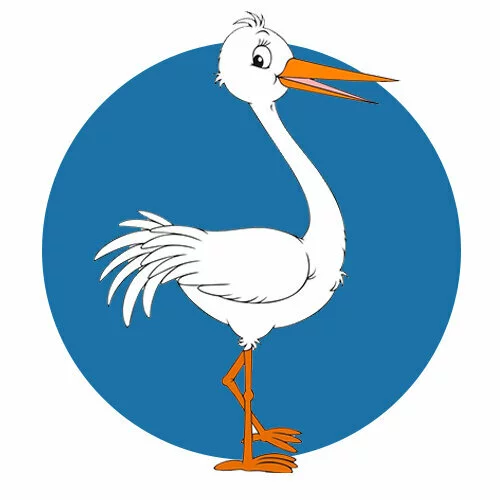 Цветной пример раскраски красивая птица аист