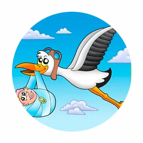 Цветной вариант раскраски аист-летчик