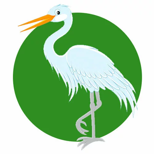 Цветной вариант раскраски белый аист птица