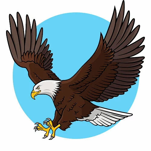 Цветной вариант раскраски орел охотится