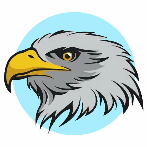 Цветной вариант раскраски орел голова и клюв