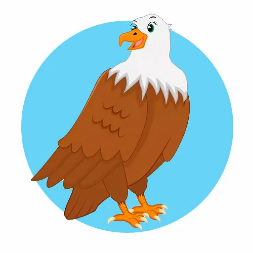 Цветной вариант раскраски орел добпый