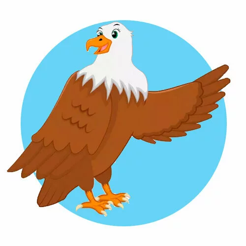 Цветной вариант раскраски орел здоровается