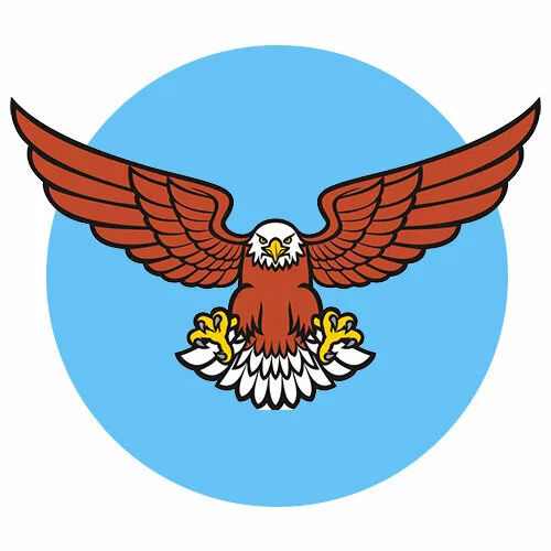 Цветной вариант раскраски орел в воздухе