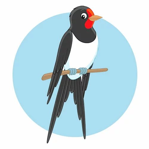 Цветной вариант раскраски ласточка красивая на ветке