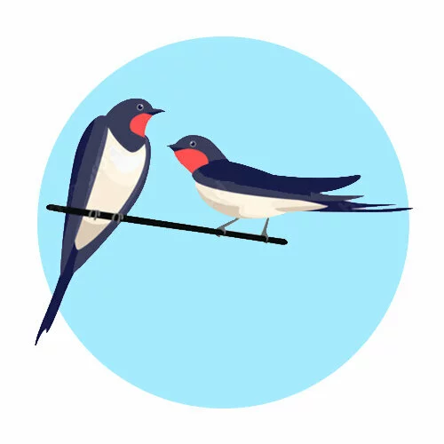 Цветной вариант раскраски ласточки мальчик и девочка