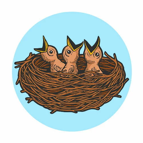 Цветной вариант раскраски птенцы в гнезде
