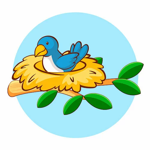 Цветной вариант раскраски гнездо на ветке дерева