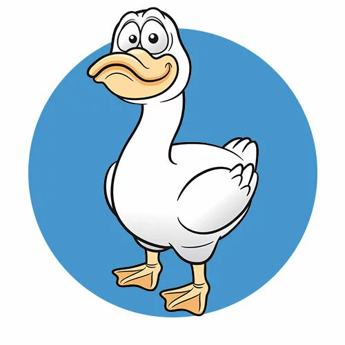 Цветной вариант раскраски смешной гусь