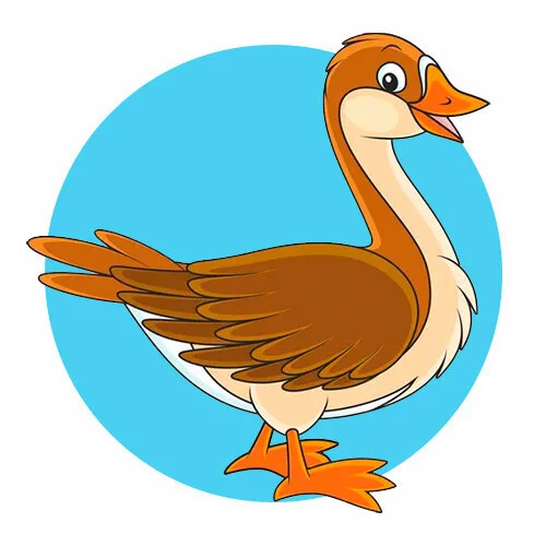 Цветной вариант раскраски гусь красивая птица