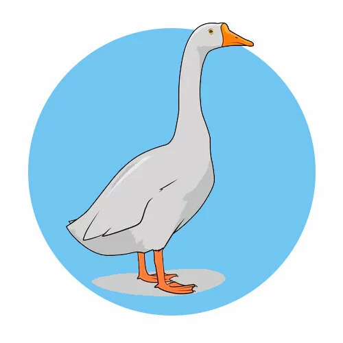 Цветной вариант раскраски один гусь