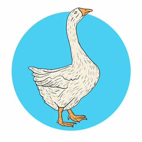 Цветной вариант раскраски гусыня гусь