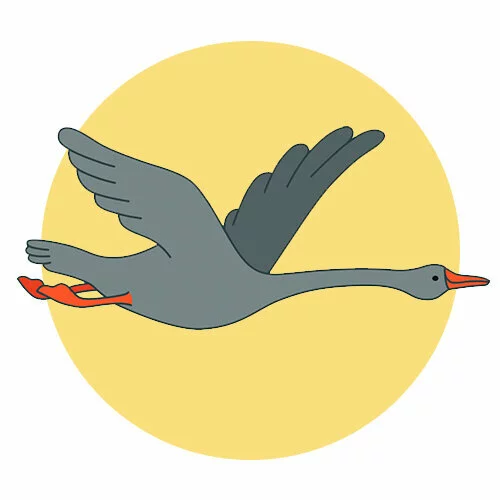 Цветной вариант раскраски гусь летит