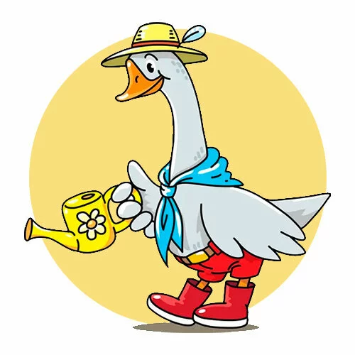 Цветной вариант раскраски гусь садовник