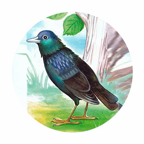 Цветной вариант раскраски скворец у дерева