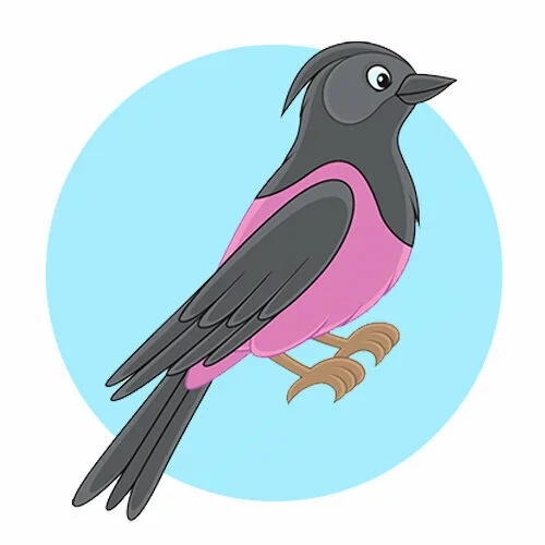 Цветной вариант раскраски скворец красивый