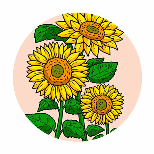 Цветной вариант раскраски подсолнухи