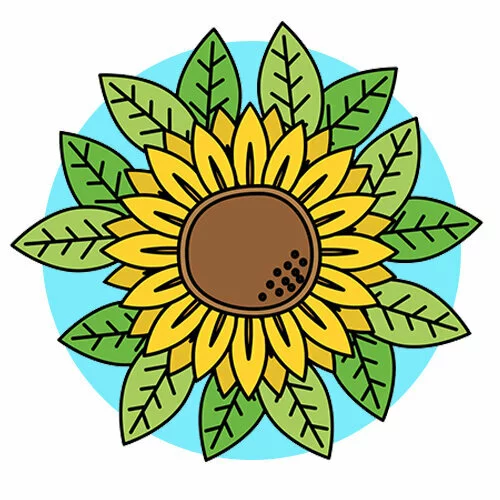 Цветной вариант раскраски подсолнух и зеленые листья
