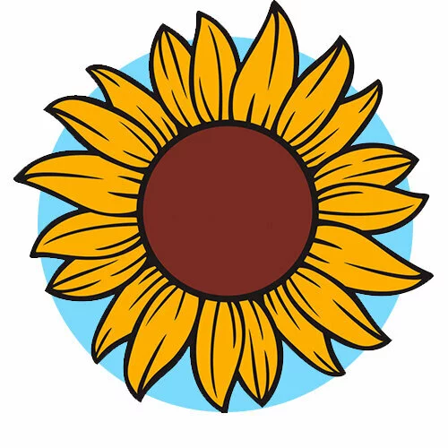 Цветной вариант раскраски подсолнух только расцвел