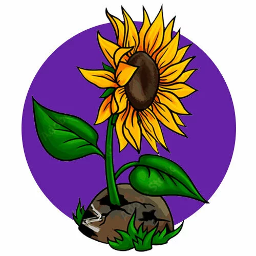 Цветной вариант раскраски один подсолнух