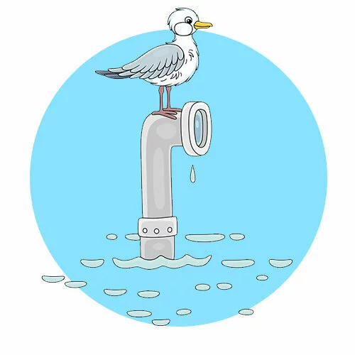 Цветной вариант раскраски чайка и подводная лодка