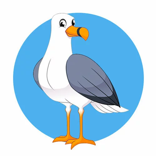 Цветной вариант раскраски альбатрос или чайка