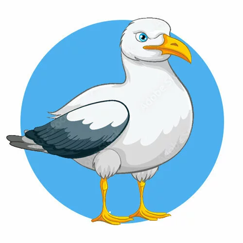 Цветной вариант раскраски птичка чайка