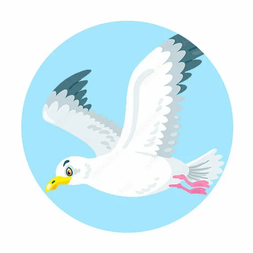 Цветной вариант раскраски чайка полет