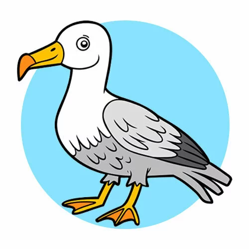 Цветной вариант раскраски альбатрос птица как чайка