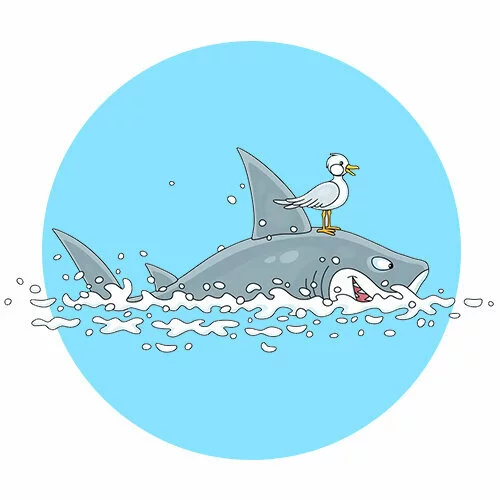 Цветной вариант раскраски чайка на акуле