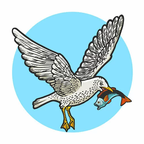 Цветной вариант раскраски чайка поймала рыбу