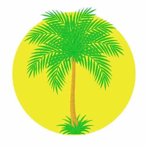 Цветной вариант раскраски красивая пальма