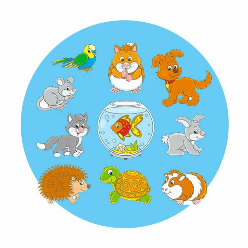 Цветной вариант раскраски домашние животные и аквариум