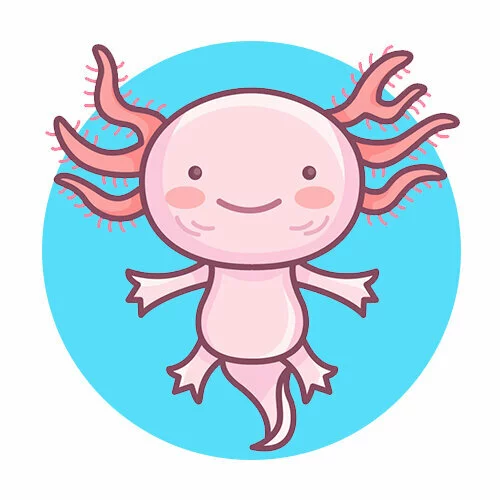 Цветной вариант раскраски аксолотль иконка