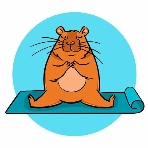 Цветной вариант раскраски капибара шпагат