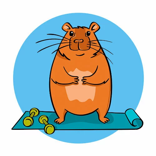 Цветной вариант раскраски капибара гантели