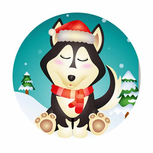 Цветной вариант раскраски хаски и снег