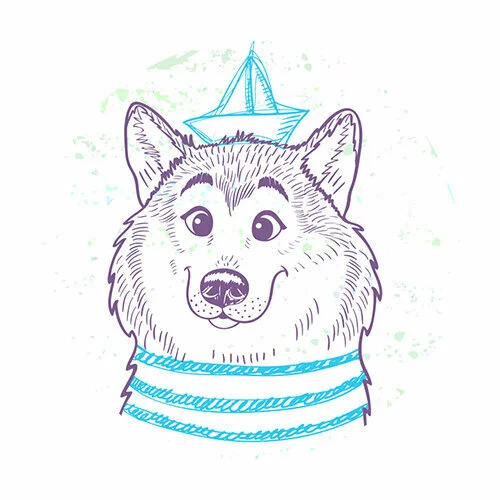 Цветной вариант раскраски хаски моряк