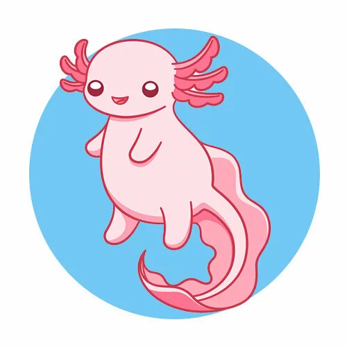 Цветной вариант раскраски толстенький аксолотль