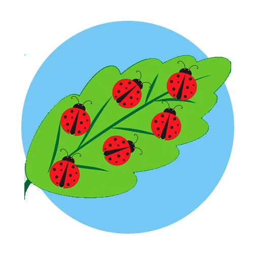 Цветной вариант раскраски божьи коровки на листе