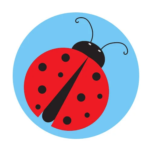 Цветной вариант раскраски божья коровка для самых маленьких
