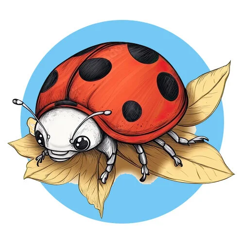 Цветной вариант раскраски божья коровка фото настоящая