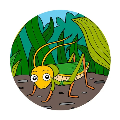 Цветной вариант раскраски кузнечик зеленый