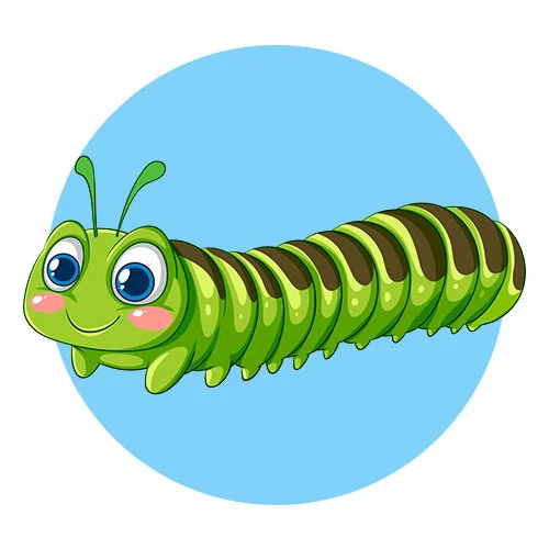 Цветной вариант раскраски длинная гусеница