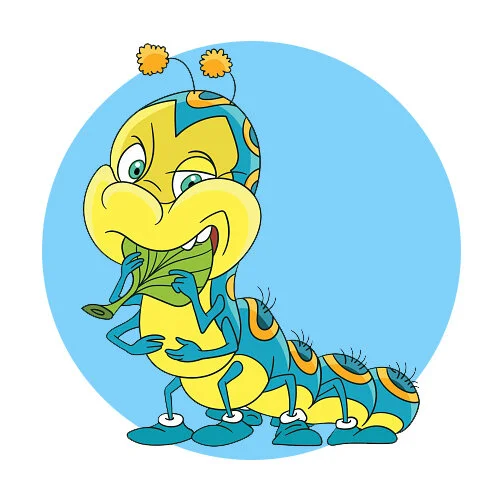 Цветной вариант раскраски гусеница ест листок